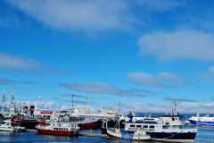 Afaceri.ro-Bootcamp-Trade-Mission-Iceland-2022-4