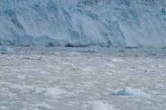 Afaceri.ro-Bootcamp-Greenland-2022-1