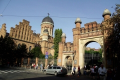 12045311_869773539744537_6787269305237264576_o