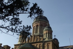 12052518_869773809744510_8262721233622712736_o