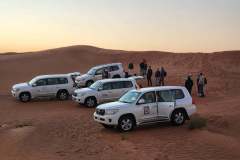 272561152_4601907129864474_5564505971122051105_n