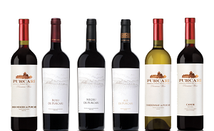 Vinuri Purcari